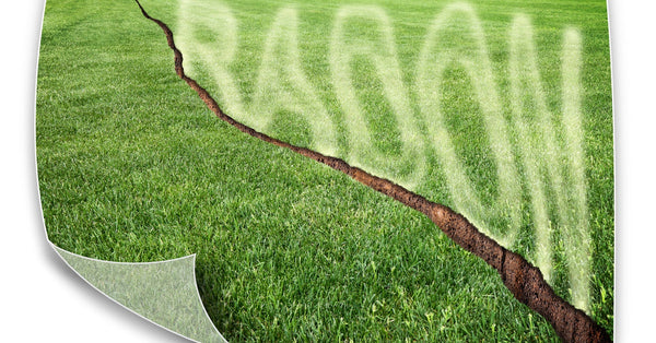 A field of green grass with a large, deep crack down the middle has the word "Radon" written above it.